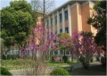 Tongji University